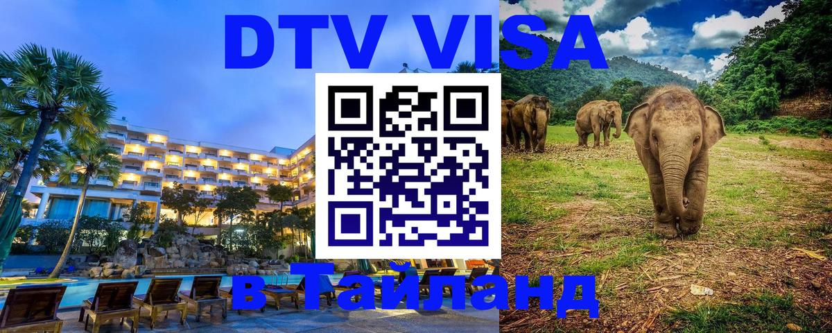 Сколько стоит DTV виза — актуальные цены, оформление даже без документов - Набережные Челны  18.11.2025 